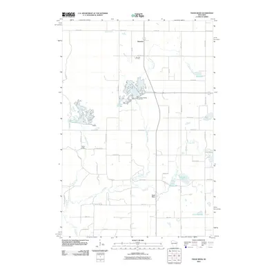 2010 Map of Trade River, 2010 Print