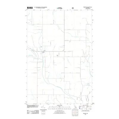 2011 Map of Trenary, 2011 Print