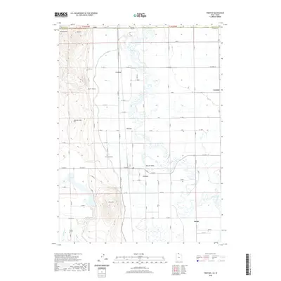 2020 Map of Trenton, 2020 Print