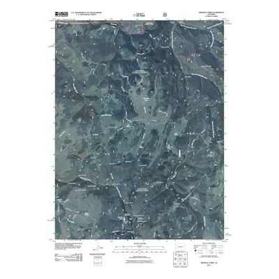 2011 Map of Triangle Park, 2011 Print