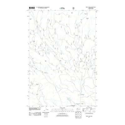 2011 Map of Trout Lake, 2011 Print