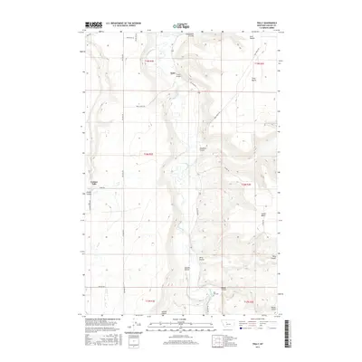 2017 Map of Truly, 2017 Print