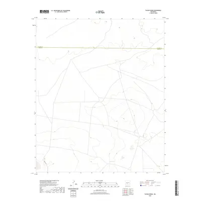 2020 Map of Tucson Spring, 2020 Print