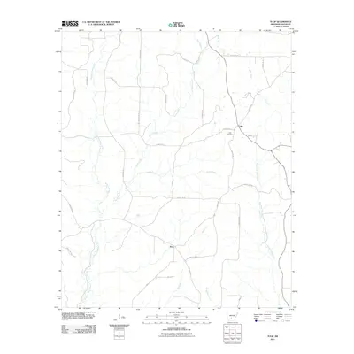 2011 Map of Tulip, 2011 Print