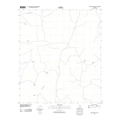2010 Map of Turney Draw NW, 2010 Print
