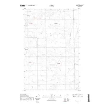 2020 Map of Turtle Creek, 2020 Print
