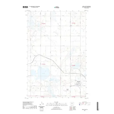 2020 Map of Turtle Lake, 2020 Print