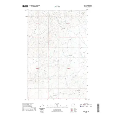 2020 Map of Turtle Lake, 2020 Print