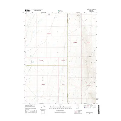 2015 Map of Tweedy Wash, 2015 Print