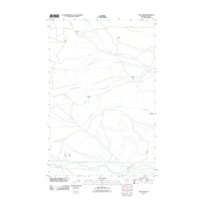 2011 Map of Twin Lakes, 2011 Print