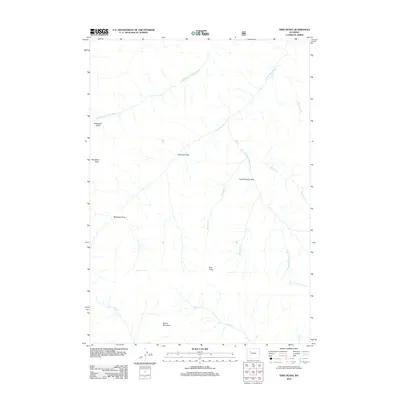 2012 Map of Twin Peaks, 2012 Print