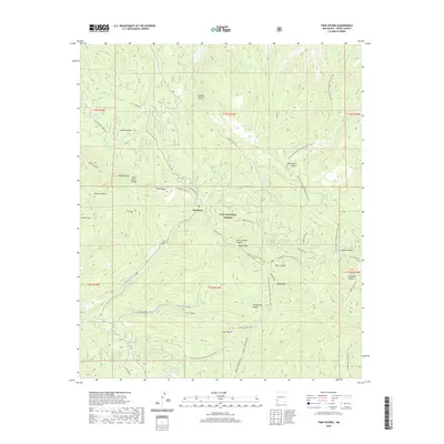 2020 Map of Twin Sisters, 2020 Print