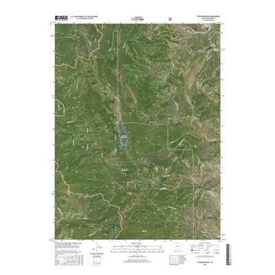 2016 Map of Tyler Mountain, 2016 Print