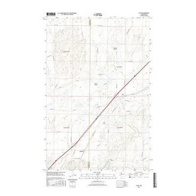 2017 Map of Tyler, 2017 Print