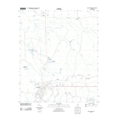 2011 Map of Union Springs, 2011 Print