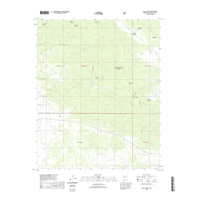 2020 Map of Valle Largo, 2020 Print