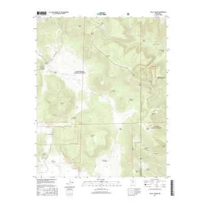 2017 Map of Valle Toledo, 2017 Print
