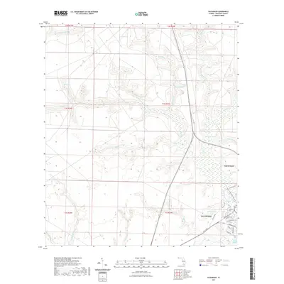 2021 Map of Valparaiso, 2021 Print