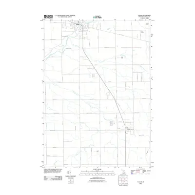 2011 Map of Vassar, 2011 Print