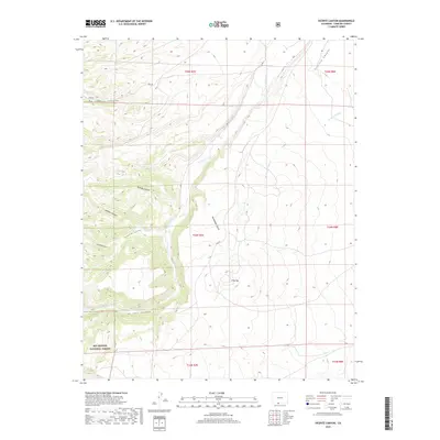 2019 Map of Vicente Canyon, 2019 Print