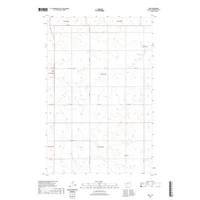 2020 Map of Vida, 2020 Print