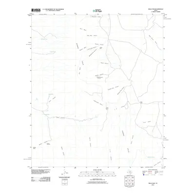 2010 Map of Vieja Pass, 2010 Print
