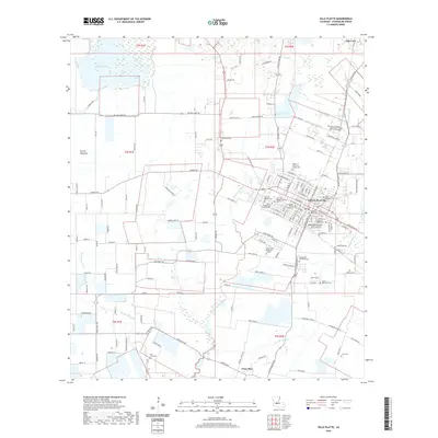 2020 Map of Ville Platte, 2020 Print