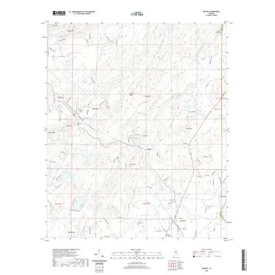 2020 Map of Vincent, 2020 Print