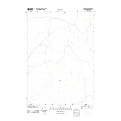 2011 Map of Vinegar Hill, 2011 Print