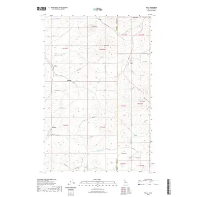 2020 Map of Viola, 2020 Print