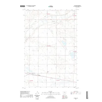 2020 Map of Voltaire, 2020 Print