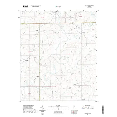 2020 Map of Wadley South, 2020 Print