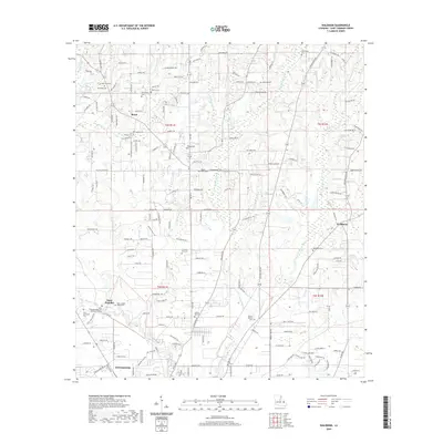 2020 Map of Waldheim, 2020 Print