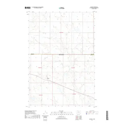 2017 Map of Walker, 2017 Print