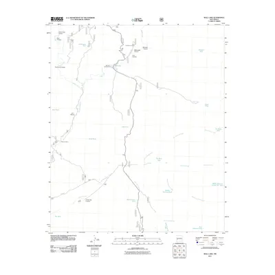 2011 Map of Wall Lake, 2011 Print