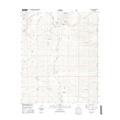 2013 Map of Wall Lake, 2013 Print