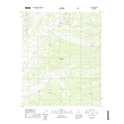2020 Map of Wall Lake, 2020 Print