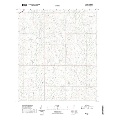2020 Map of Wallace, 2020 Print