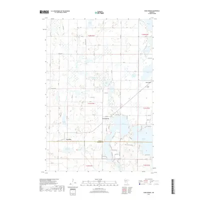 2019 Map of Ward Springs, 2019 Print