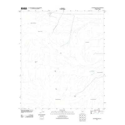 2011 Map of Waterman Peak, 2011 Print