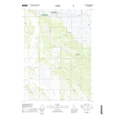 2020 Map of Wayan West, 2020 Print