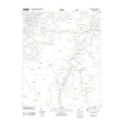 2011 Map of Waynesville, 2011 Print