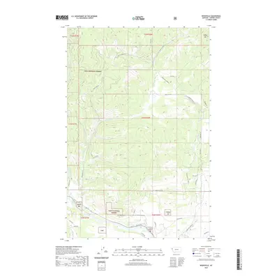 2020 Map of Weeksville, 2020 Print