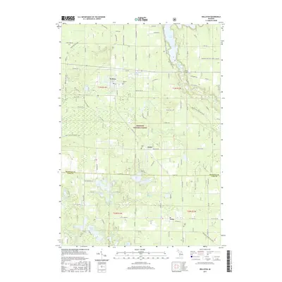 2017 Map of Wellston, 2017 Print