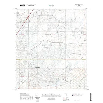 2021 Map of Wesley Chapel, 2021 Print