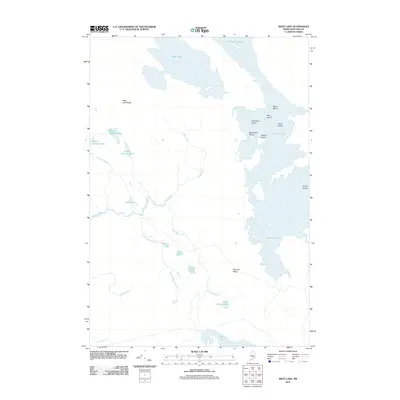 2011 Map of West Lake, 2011 Print