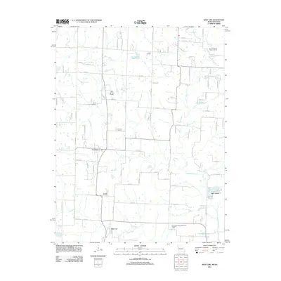 2011 Map of West Line, 2011 Print