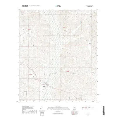 2020 Map of Whatley, 2020 Print
