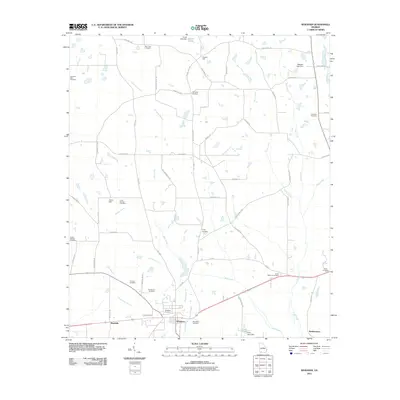 2011 Map of Whigham, 2011 Print