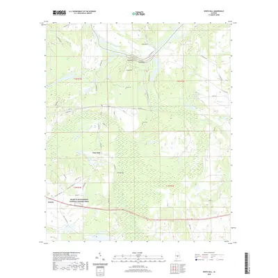 2020 Map of White Hall, 2020 Print